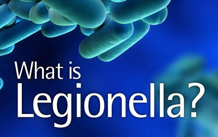 Legionella literature