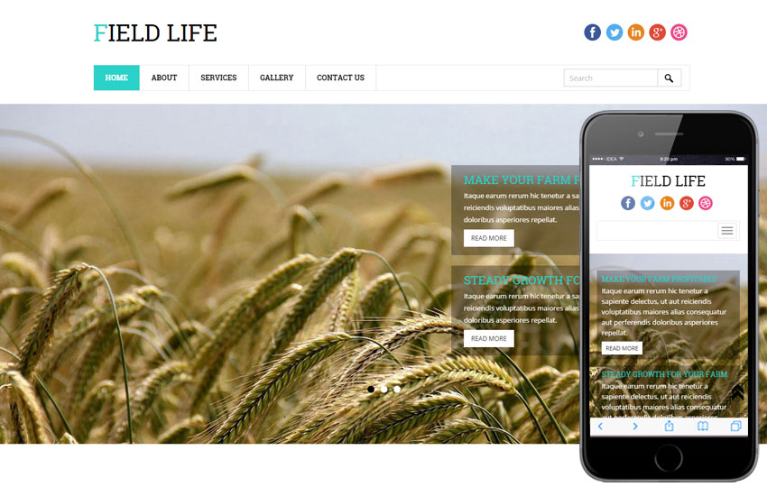 Field-Life
